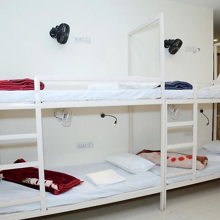 ניו דלהי The Charlie'S Hostel מראה חיצוני תמונה