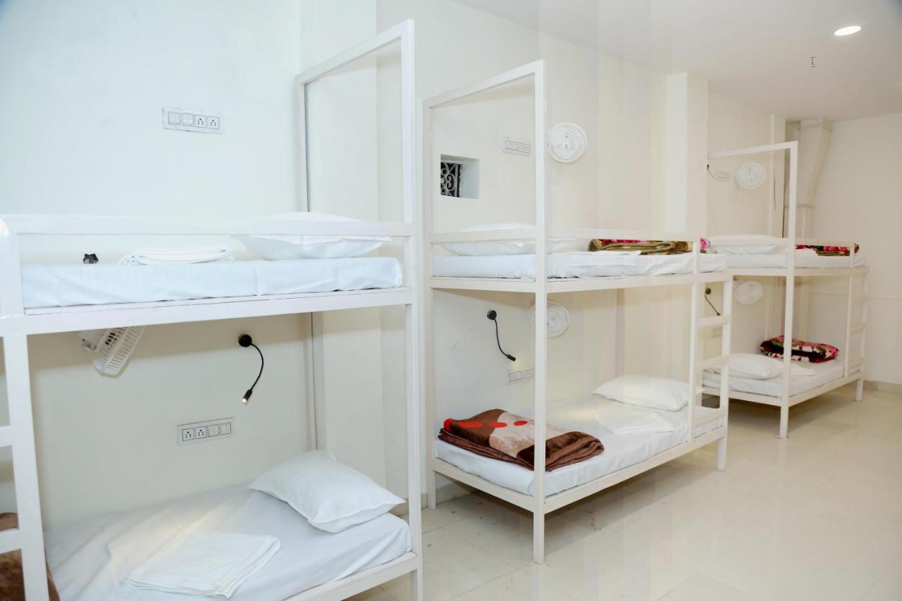 ניו דלהי The Charlie'S Hostel מראה חיצוני תמונה