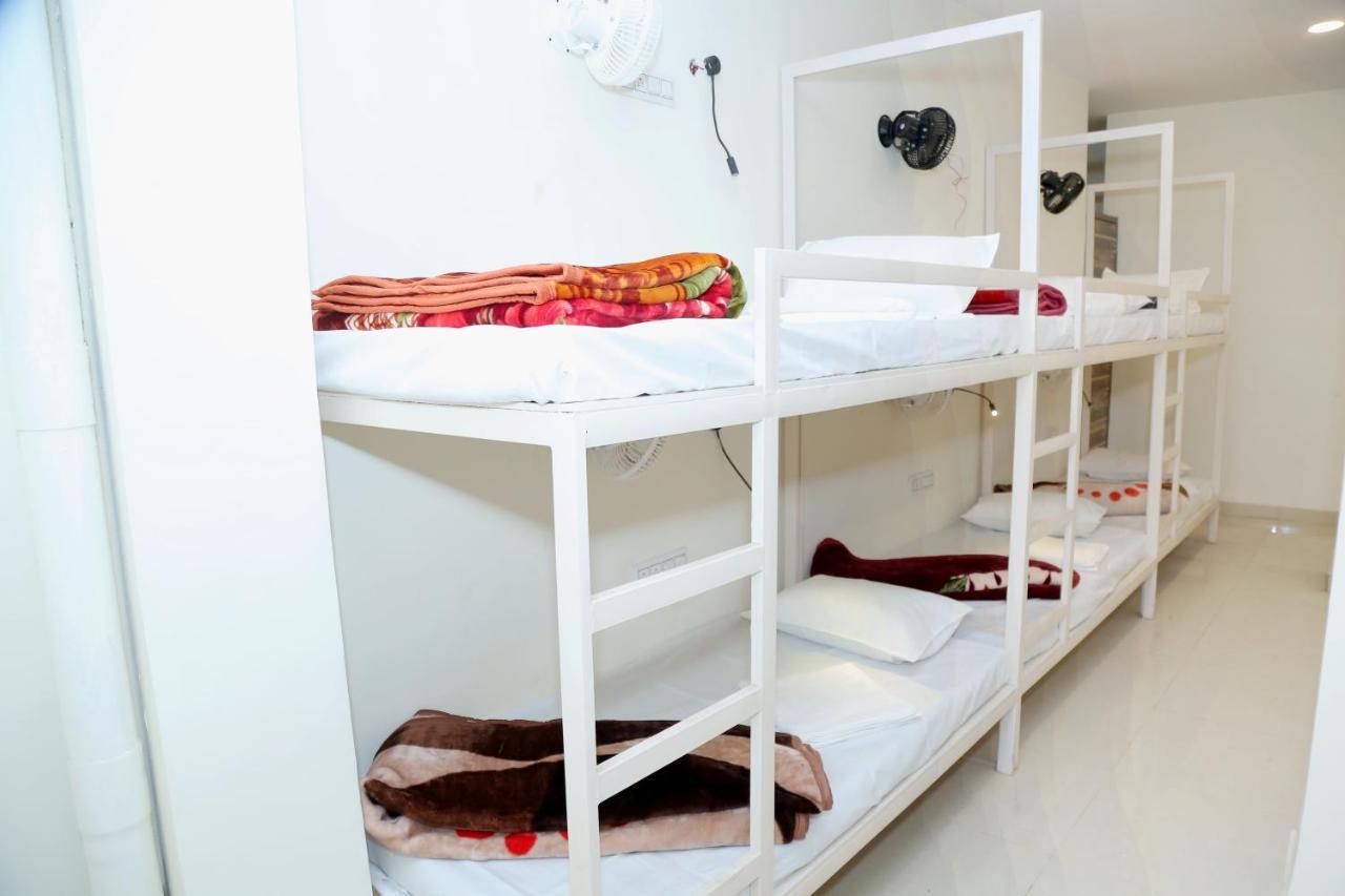 ניו דלהי The Charlie'S Hostel מראה חיצוני תמונה